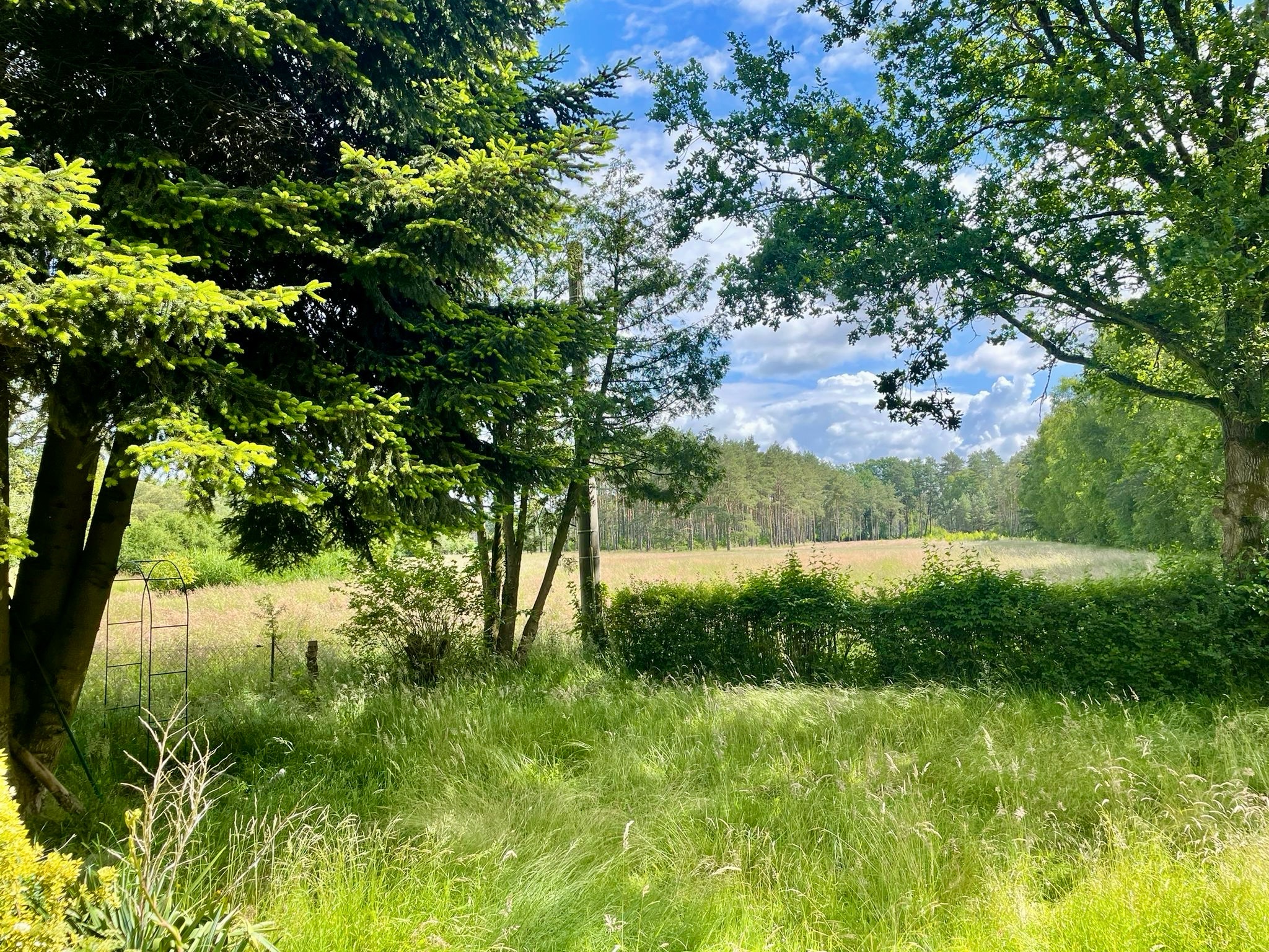 Foto der Immobilie (3687)