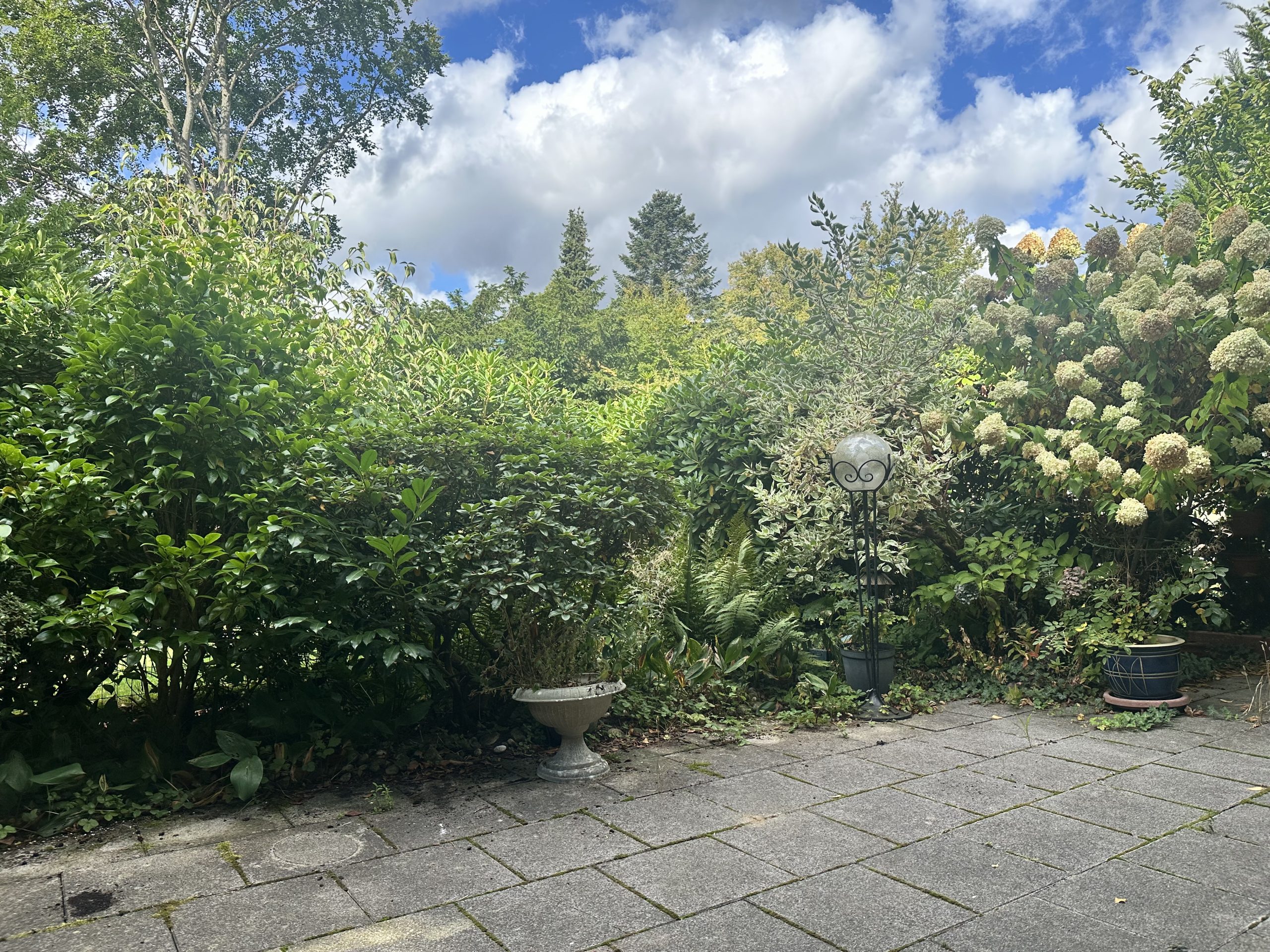 Foto der Immobilie (3594)